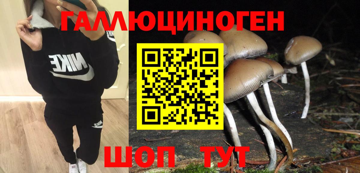 Псилоцибиновые грибы ЛСД  Псилоцибиновые грибы прущие грибы  Вход с VPN  Киржач 