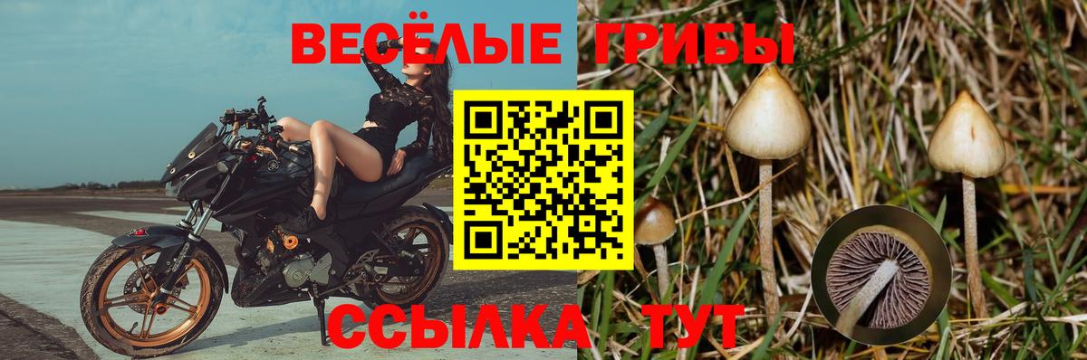 Псилоцибиновые грибы прущие грибы Киржач